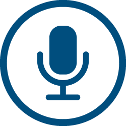 AudioEye Accessibility Statement icons voice
